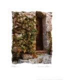 Portal Prints by Maureen Love
