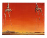 Elefantene, ca. 1948 (The Elephants, c.1948) Plakat av Salvador Dalí Elefantene, ca. 1948 (The Elephants, c.1948) Plakat av Salvador Dalí