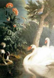 Cygnes Affiche par Alexandre-Francois Desportes