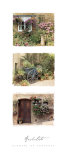 Flowers of Provence Posters by Catherine Archuleta