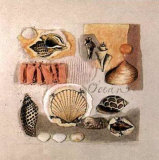 Ocean Poster by Susan Zulauf