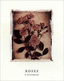 Etude de rose I Posters par Dick & Diane Stefanich
