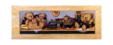 Ours au pays des jouets Posters par Barbara Norris