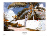 Jardins de Nassau Posters par Winslow Homer