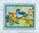 Bluebird Posters by Linn Done