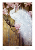 Peacock with Magnolia Posters by Jessie Arms Botke