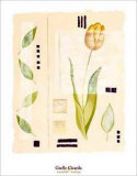 Toulon Tulip Posters by Gaelle Cicarda Toulon Tulip Posters by Gaelle Cicarda