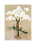 Antirinium Bouquet Posters by Galley 