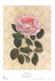 Trellis Rose I Posters by Susan Davies