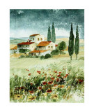 Toscane IV Print by Franz Heigl
