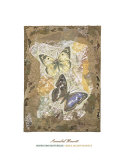 Honeycomb Butterflies Posters by David Hewitt