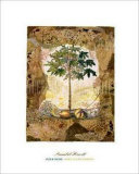 Lace and Papaya Posters by David Hewitt