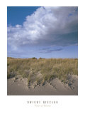 Dunes of Autumn Poster by Dwight Hiscano