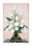 Calla Lilies Posters by Hannah Gluck Calla Lilies Posters by Hannah Gluck