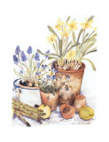 From the Garden II Prints by Alie Kruse-Kolk