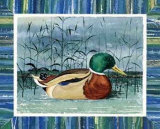 Blue Duck I Posters by Franz Heigl Blue Duck I Posters by Franz Heigl