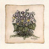 Mixe Pansies Print by Mary Hughes Mixe Pansies Print by Mary Hughes