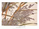 Bamboo Print by Kosikose