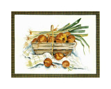 Onions Posters by Alie Kruse-Kolk Onions Posters by Alie Kruse-Kolk