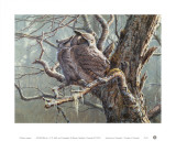 Silent Forest (Great Horned Owls) Posters by Pierre Leduc
