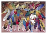 Ritual: Feathered Shields Posters by David Manje