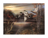 Morning Call Art by Ruane Manning
