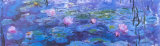 Nenúfares II Lámina por Claude Monet