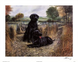 Change of Seasons Posters by Ruane Manning Change of Seasons Posters by Ruane Manning