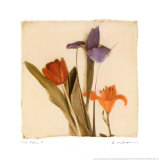 Drei Blumen I Poster von Amy Melious