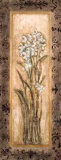 Paperwhites II Posters by Mindeli 