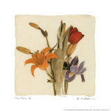 Tre Fiori III Prints by Amy Melious