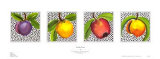 Funky Fruit Posters by Ann Wheat Pace