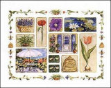 Tulip Slice of Life Posters by Charlene Winter Olson