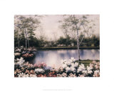 White Birches Posters by Diane Romanello