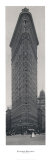 Flatiron Building Print