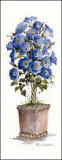 Morning Glory Topiary Prints by Carol Robinson