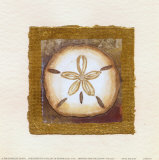 Charlene Winter Olson - Sand Dollar - Sanat Charlene Winter Olson - Sand Dollar - Sanat