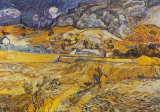 Paysage à Saint-Rémy, 1898 Affiche par Vincent van Gogh