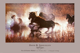 Das amerikanische Saddle-Horse Kunstdrucke von David R. Stoecklein