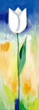 Single White Tulip Posters by Ingrid Sehl