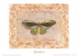Exotic Species, Zanzibar Poster by Zachary Alexander