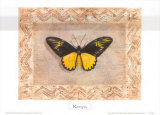 Exotic Species, Kenya Posters by Zachary Alexander