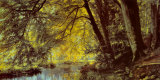 River Through the Woods Posters by Christian Zacho