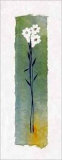 Daisies on Green Wash Papyrus Print by Ingrid Sehl