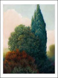 Tuscan Trees II Posters by Alan Stephenson