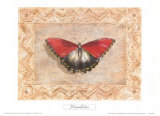 Exotic Species, Namibia Posters by Zachary Alexander
