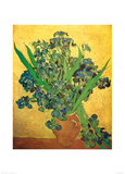 Schwertlilien Poster von Vincent van Gogh