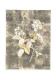 Silver Rose I Poster von Antonietta Vernice