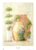 Topiary and Terracotta I Posters by C. C. Wilson