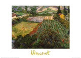 Campo de amapolas Póster por Vincent van Gogh Campo de amapolas Póster por Vincent van Gogh